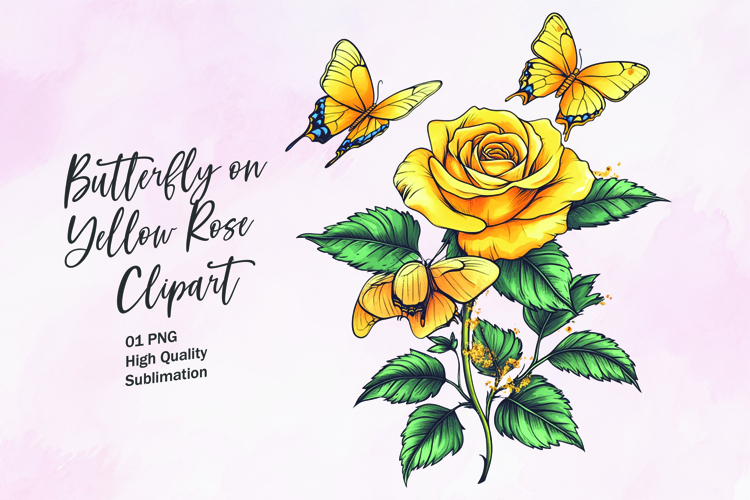 Rose Graphic Image 4