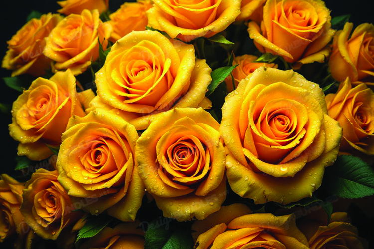 Yellow Rose Clipart Image 17