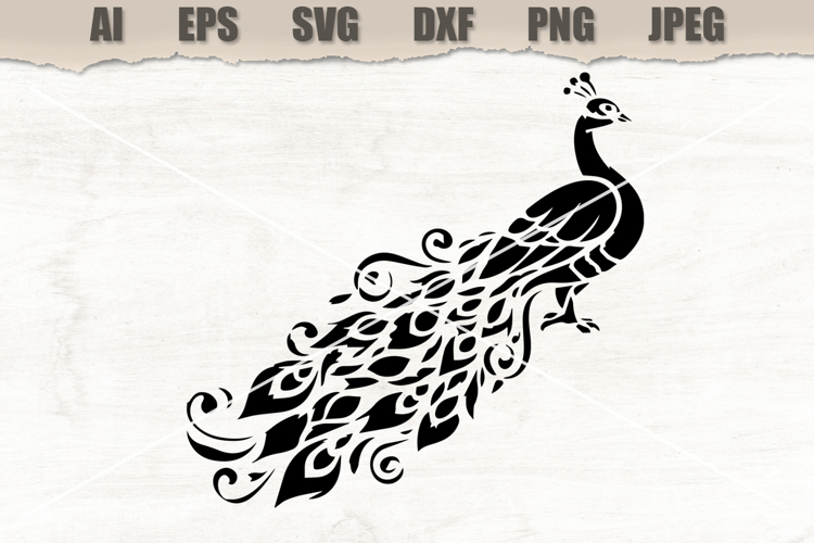 Stencil Peacock Bird