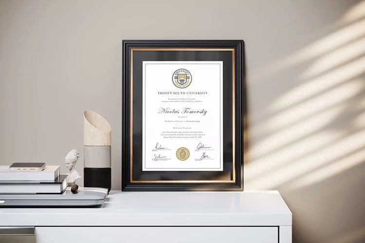 Award Document Frame Mockup