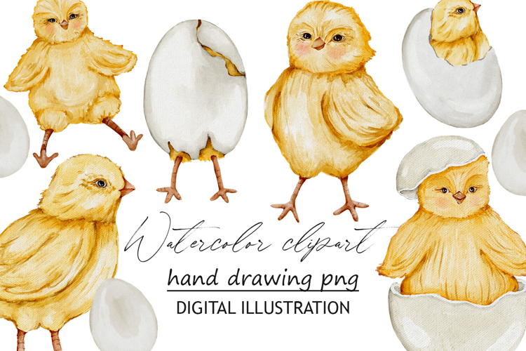 Chicken watercolor clipart PNG