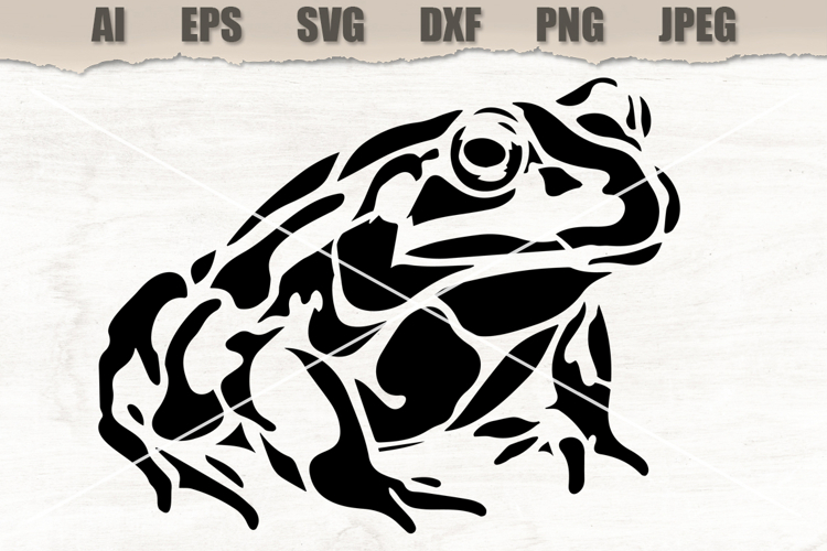 Stencil Frog Amphibian