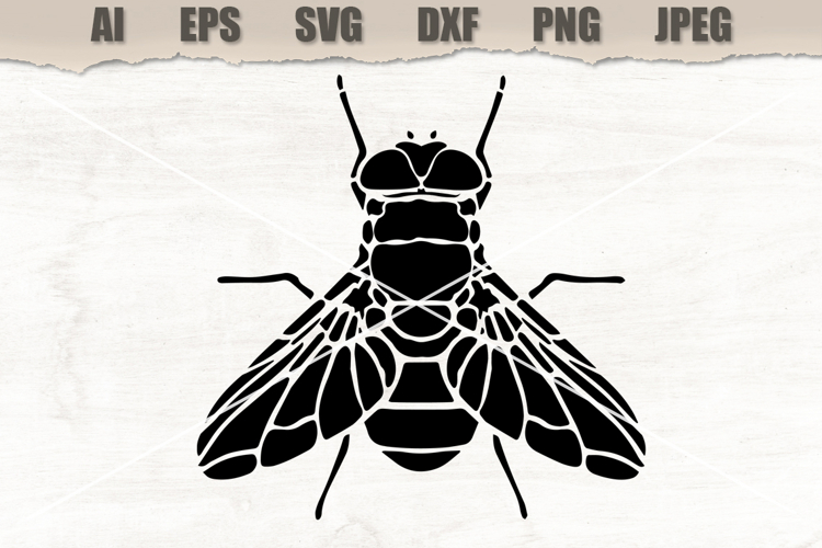 Stencil Insect