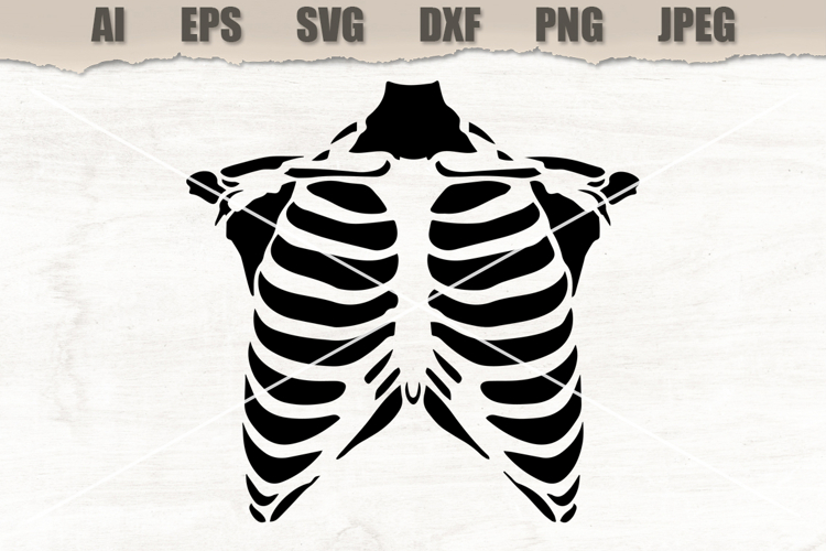 Stencil Human Rib Cage
