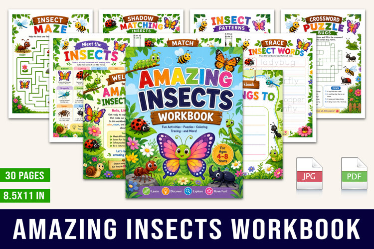 Amazing Insects Workbook example image 1