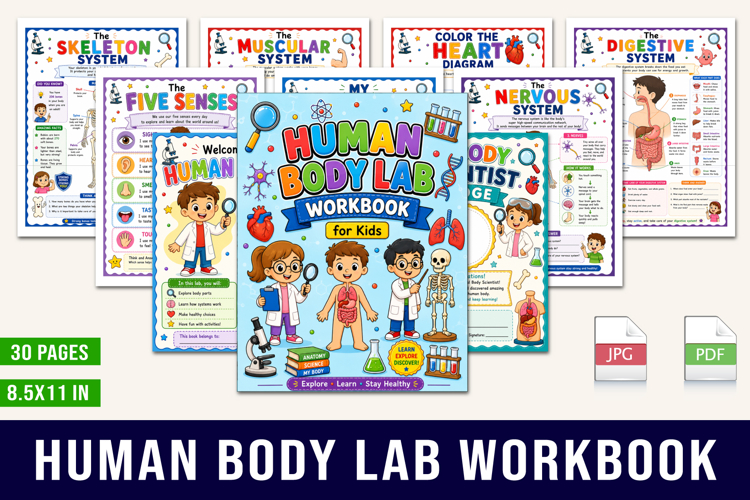Human Body Workbook