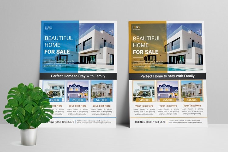 Modern Clean Real Estate Flyer