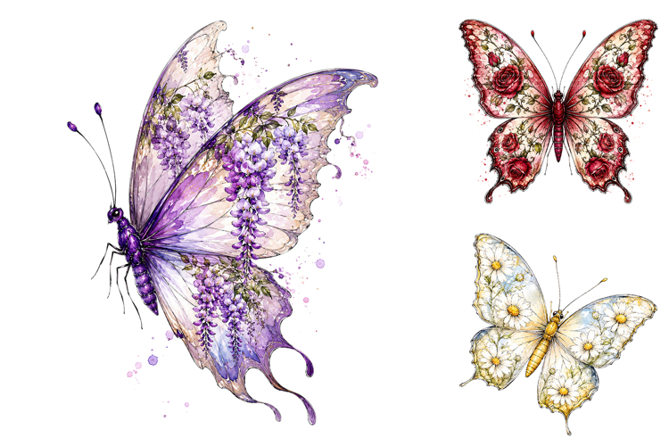 Butterfly Graphic Image 7