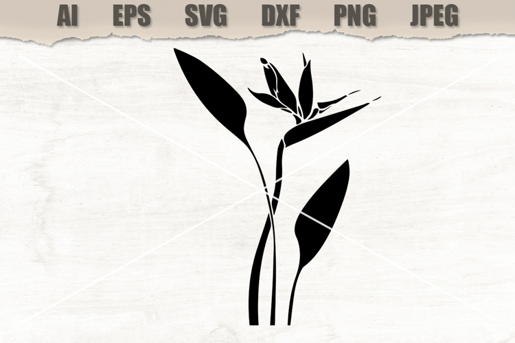 Stencil Strelitzia flower