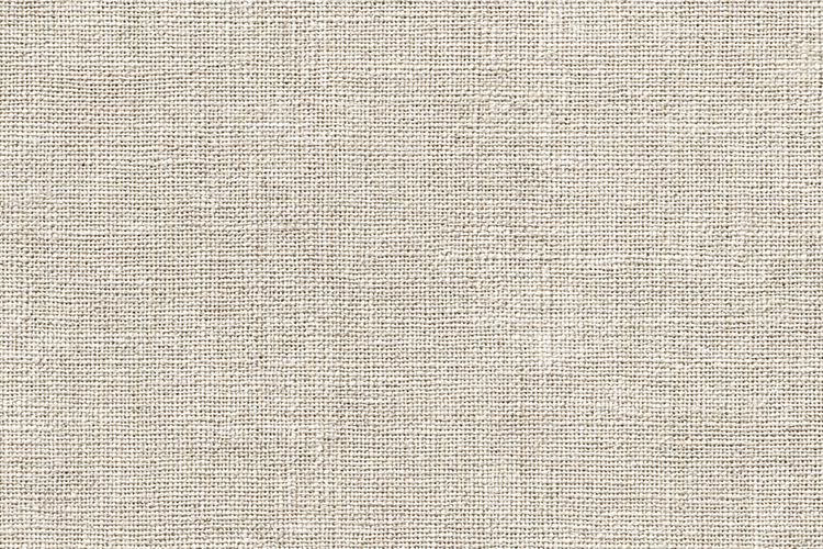 Beige Texture Image 19