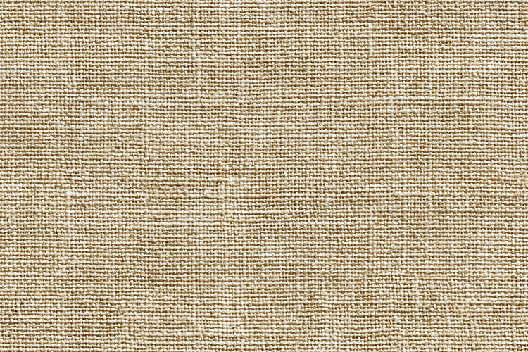 Beige Texture Image 5