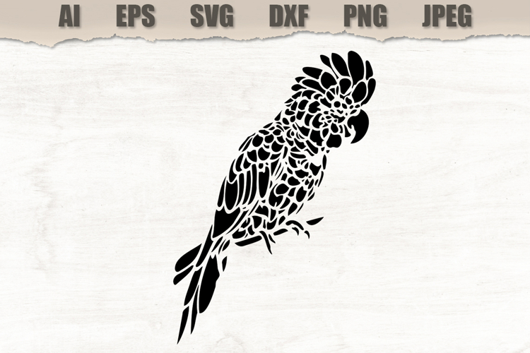 Stencil Cockatoo Bird