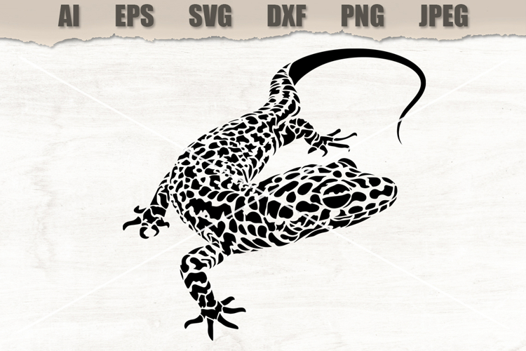 Stencil Lizard Reptile
