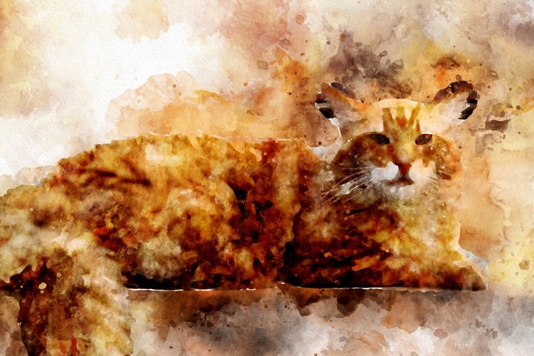 Cat Clipart Image 15