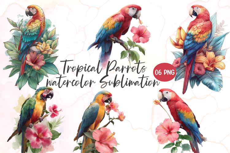 Parrot Png Image 21