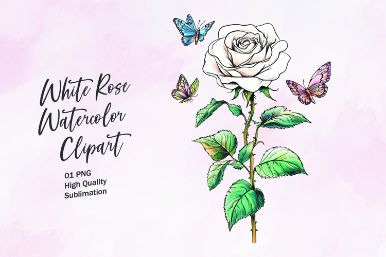 Rose Graphic Image 7