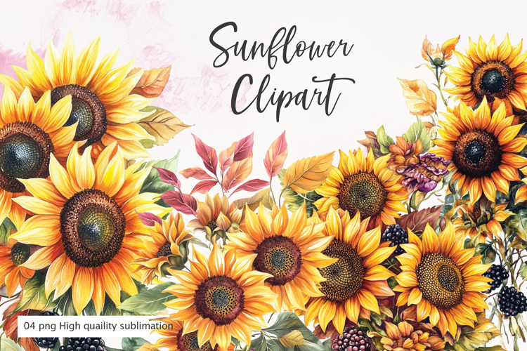Sunflower bouquet watercolor clipart sublimation