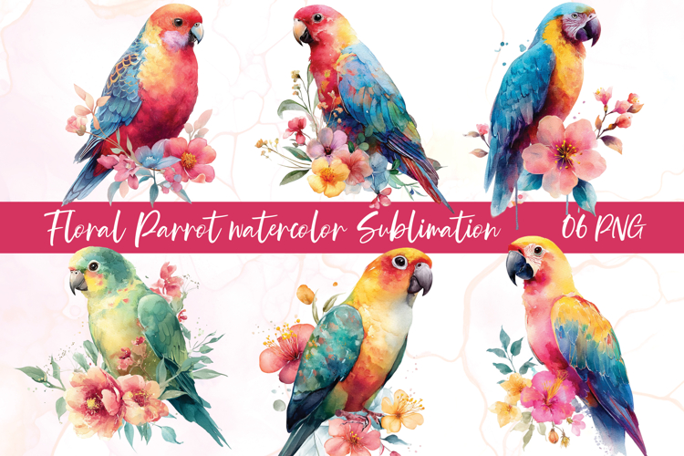 Parrot Png Image 22