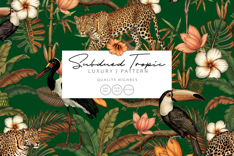 Jungle Clipart Image 13