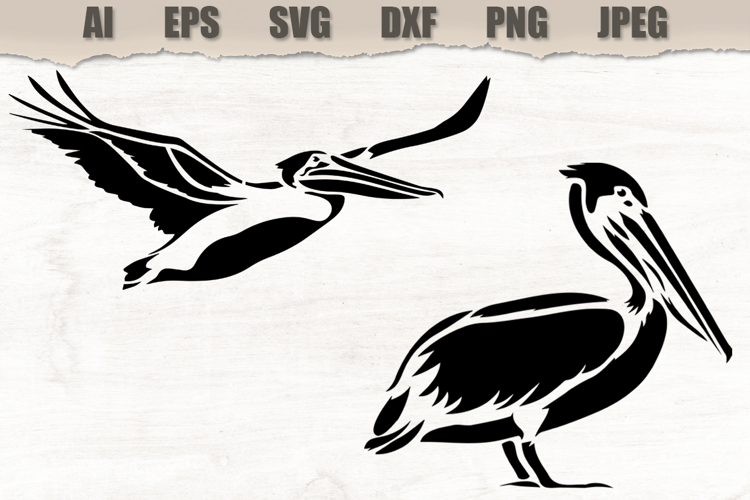 Stencils Pelican Bird