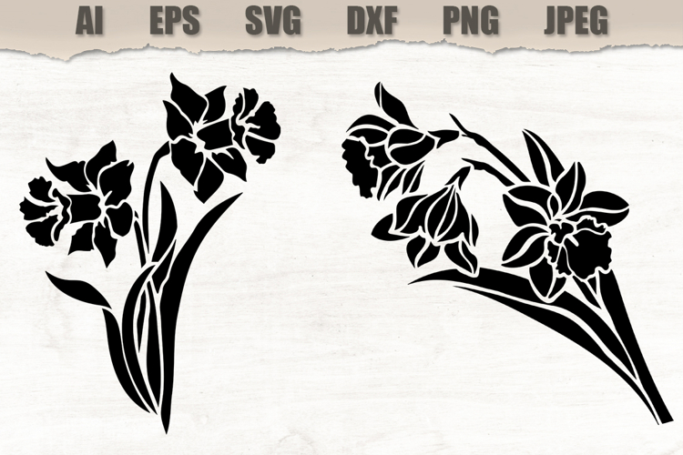Stencil Narcissus Flowers