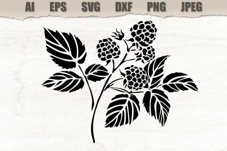 Stencil Raspberry Branch