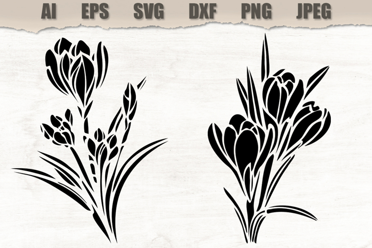 Stencils Crocus Flowers