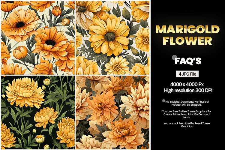 Marigold Clipart Image 8