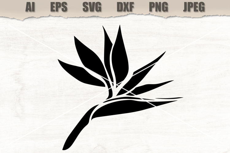 Stencil Strelitzia flower