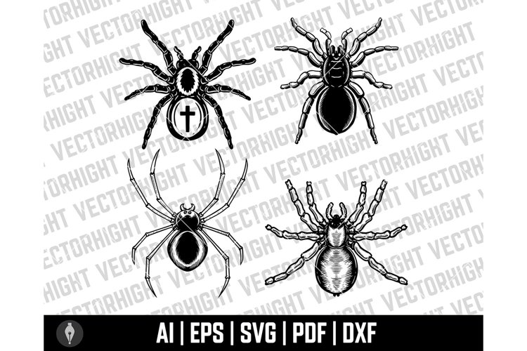 Spider Clipart Image 18