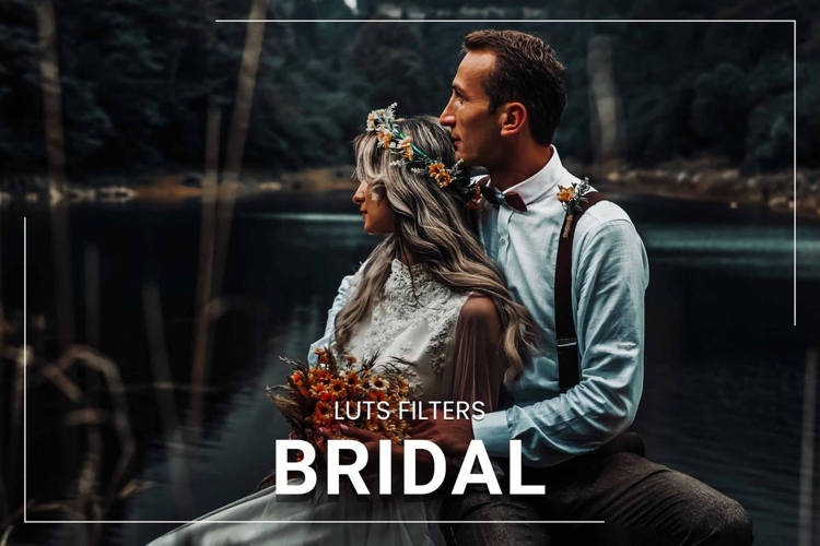 30 Bridal LUT Collection