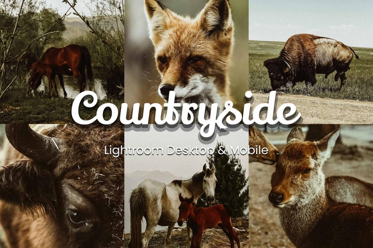30 Countryside Lightroom Bundle