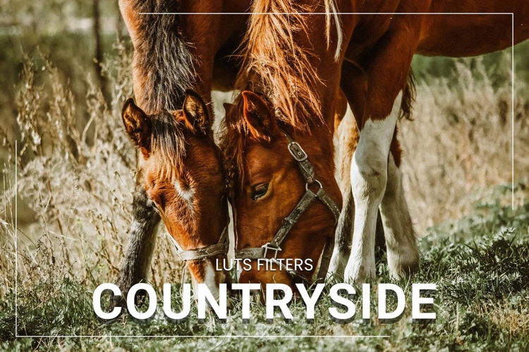 30 Countryside LUT Collection