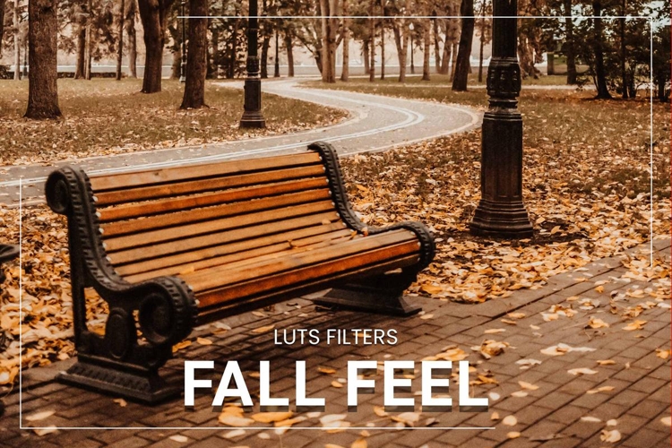 30 Fall Feel LUT Collection