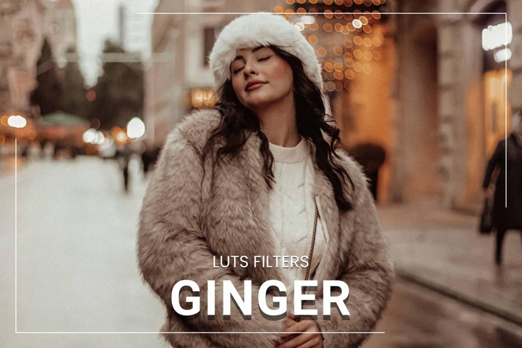 30 Ginger LUT Collection