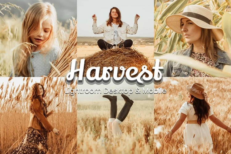 30 Harvest Lightroom Collection
