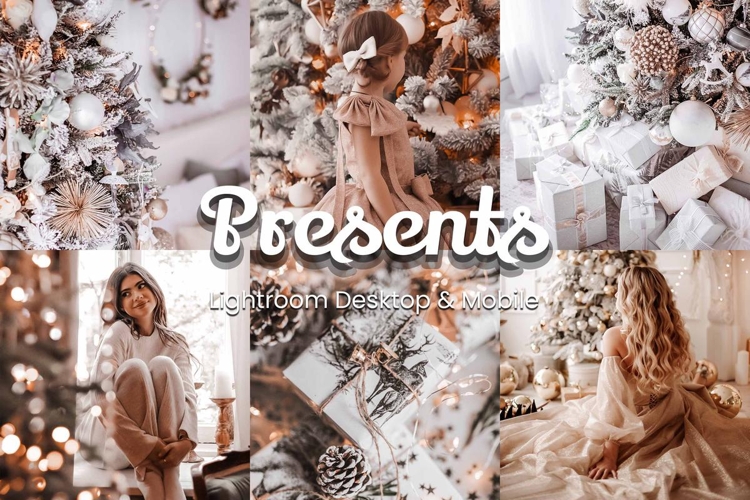30 Presents Lightroom Bundle