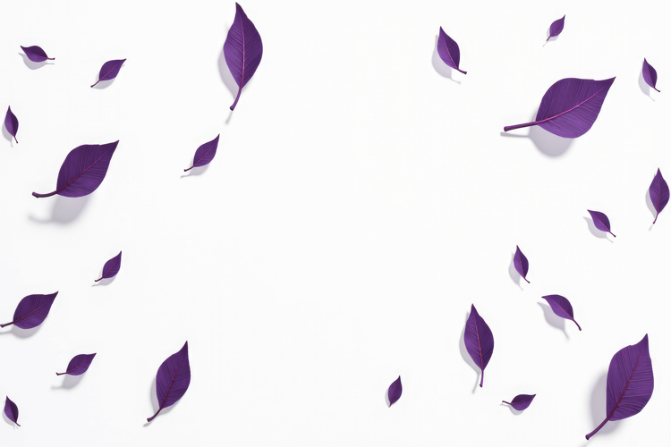 Purple Texture Background Image 11