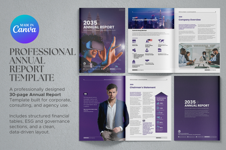 Professional Annual Report Template