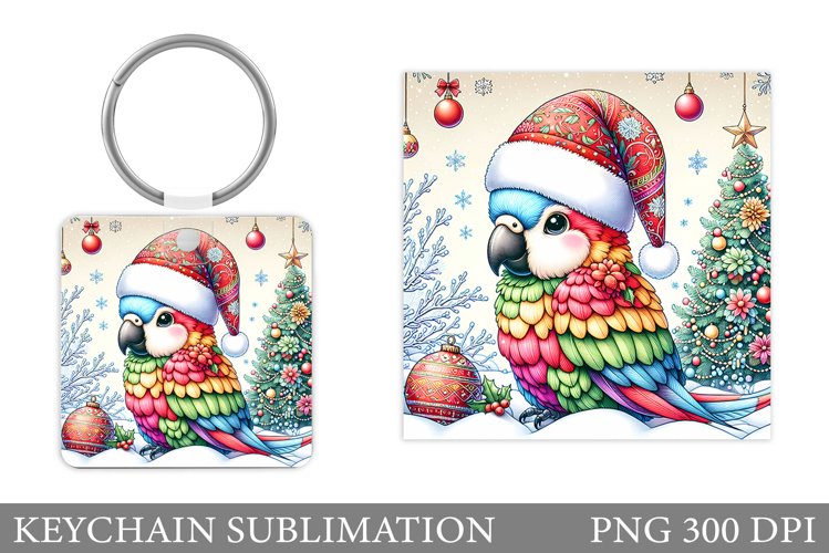 Parrot Clipart Image 11