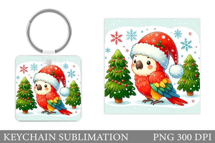 Parrot Clipart Image 10