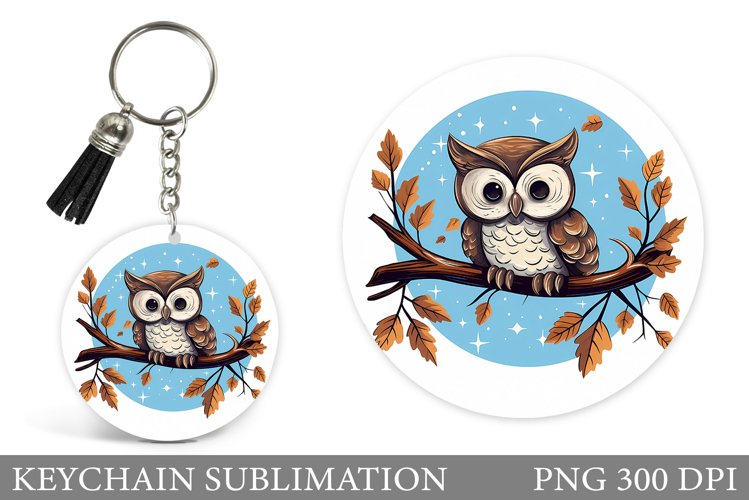 Owl Clipart Image 24