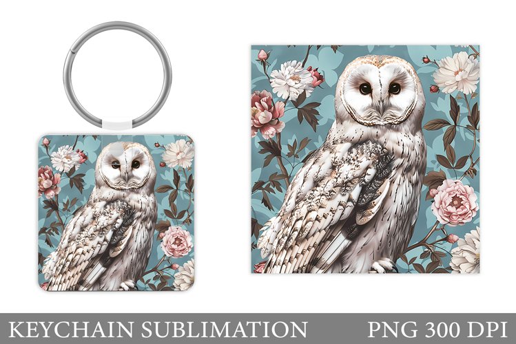 Owl Clipart Image 3