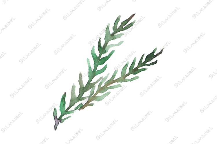 Green Grass Clipart Image 4