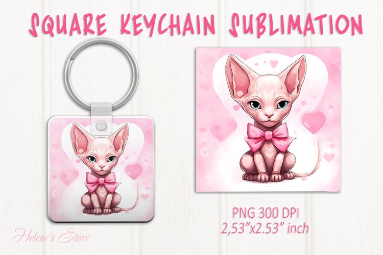 Kitten Png Image 13