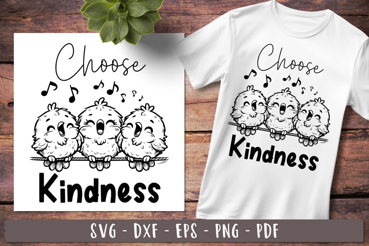 Choose Kindness Funny birds Sarcastic sayings