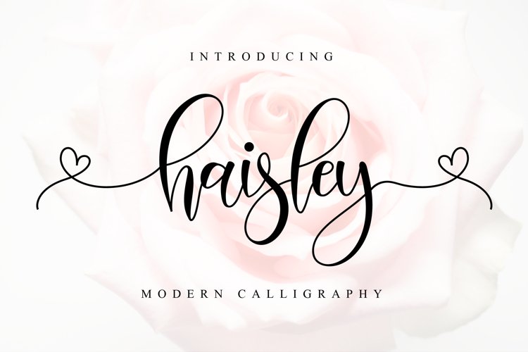 Haisley Script example image 1