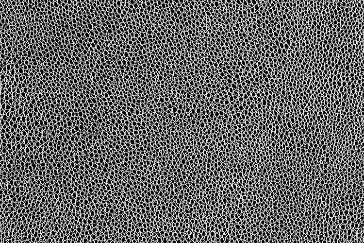Black White Organic Seamless Mesh Texture Background