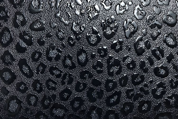 Shiny Texture Image 7