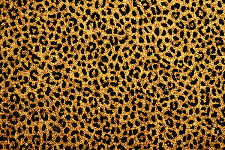 Leopard Print Background Image 15
